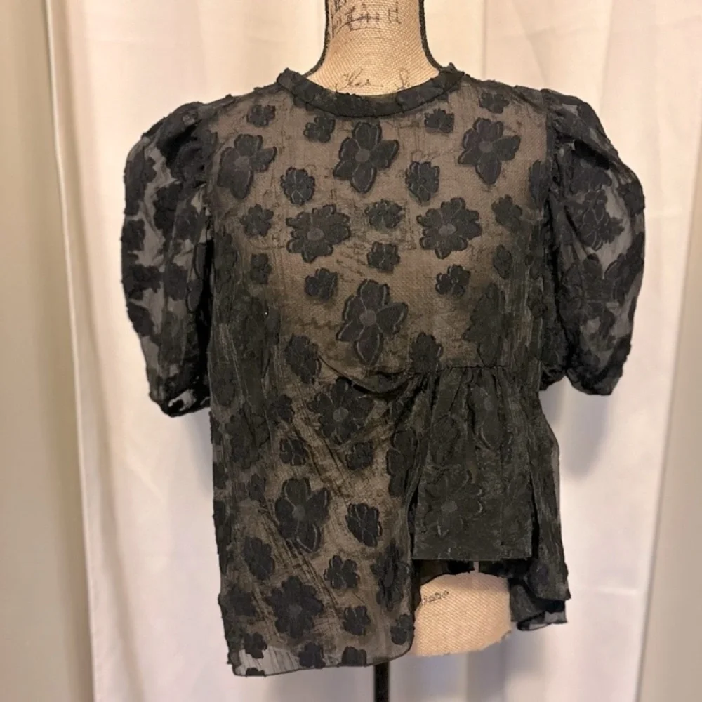 Zara Floral Sheer Organza Puff Sleeve Blouse - Picture 9 of 13
